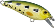 Spro Chibi Shad 40 SL